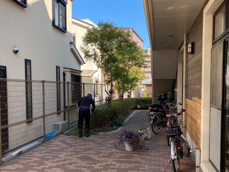 駐輪場裏の剪定