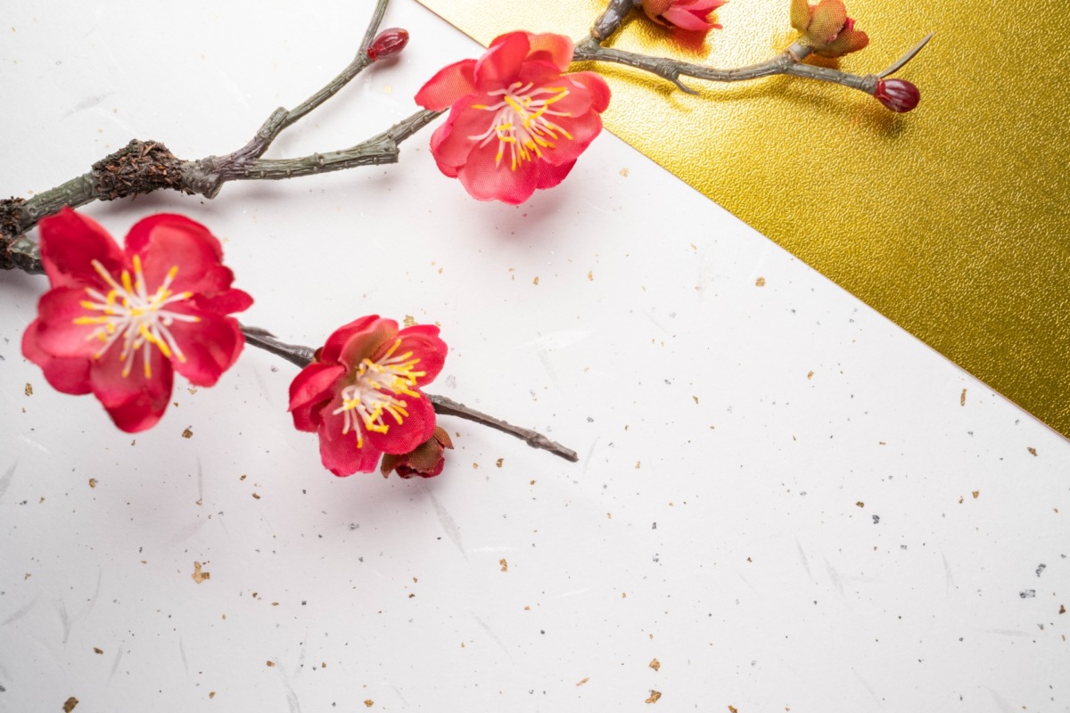 梅と金白の上質紙